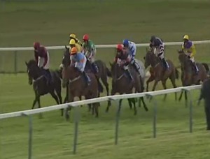 Live Horse Race Streaming