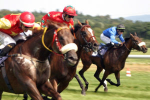 Horses Racing to a Finishing Line