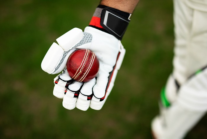 Cricket Batter Holding Ball