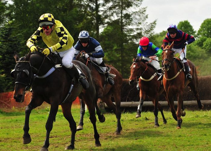 Point to Point racing