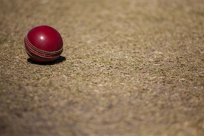 Red Cricket Ball on Pitch Close Up