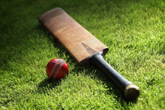 Cricket Bat and Red Ball on Grass