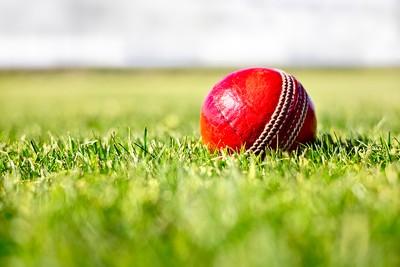 Cricket Red Ball on Grass