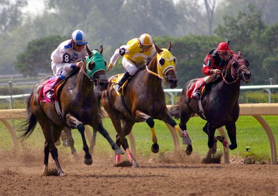 Three Horses Racing Side by Side