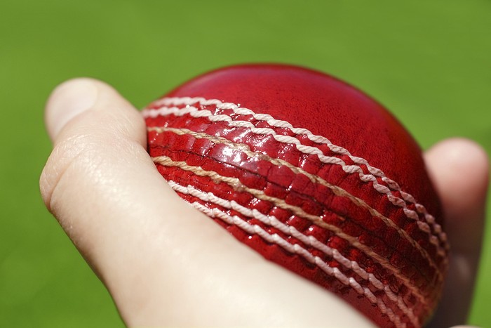 Cricket Ball in Hand