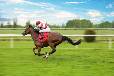Isolated Horse and Jockey Racing on Turf