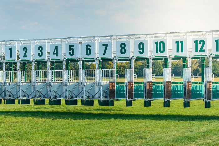 Front View of Numbered Horse Race Starting Gates