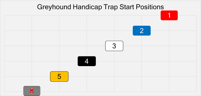 Chart Illustrating the Trap Positions in a Handicap Greyhound Race