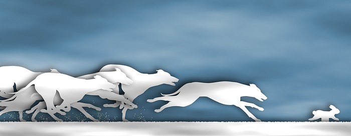 Greyhound Race Silhouette