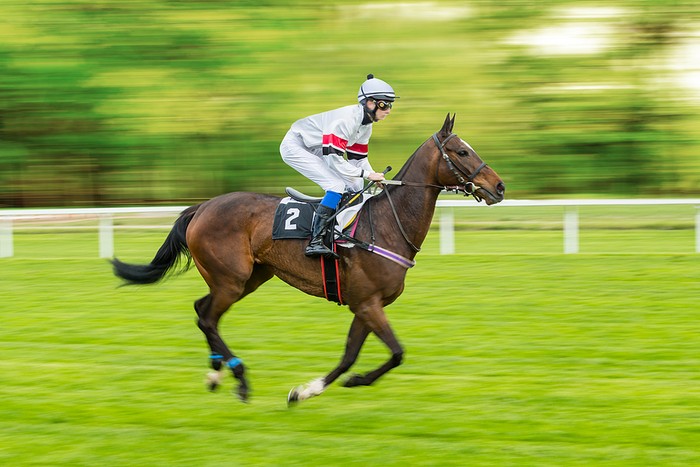 Single Jockey and Horse Isolated Against Blurred Background
