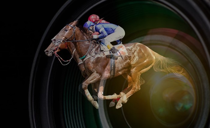 Horses Racing Neck and Neck Against Camera Lens
